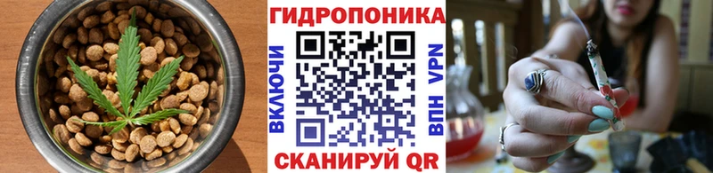 закладки  маркетплейс официальный сайт  Canna-Cookies марихуана  Заозёрск 