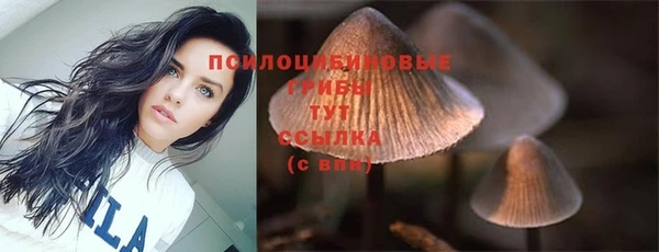 соль курить ск Покров