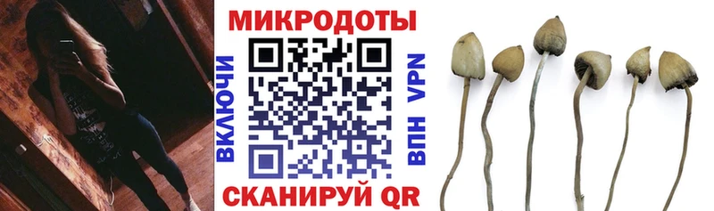 купить наркоту  Заозёрск  МЕГА зеркало  Галлюциногенные грибы прущие грибы 